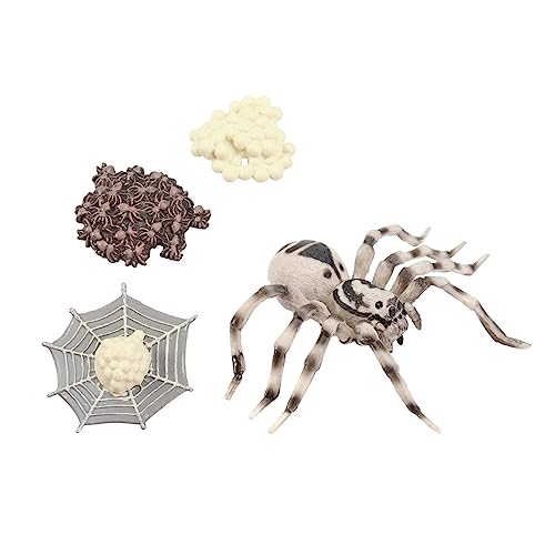 WHAMVOX Realistisches Wolfsspinne Tiermodell Pädagogisches Display Modell für Naturwissenschaft Lernen und Dekoration für Zuhause und Schule WHAMVOX Realistisches Wolfsspinne Tiermodell Pädagogisches Display Modell für Naturwissenschaft Lernen und Dekoration für Zuhause und Schule von WHAMVOX