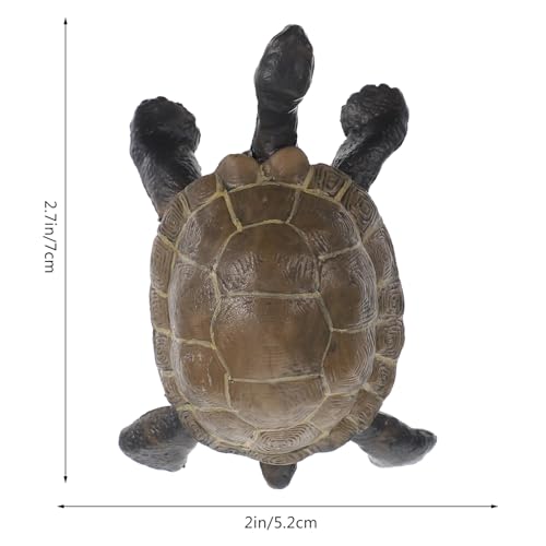 WHAMVOX Simulation Schildkröten Wachstumszyklus Modell Lebenszyklus Tierfigur Lernspielzeug für Naturwissenschaftliche Früherziehung Realistische Lernhilfe Vorstellungskraft von WHAMVOX