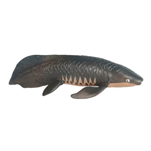 WHAMVOX Tiermodell Realistische Fischfigur aus Solidem Kunststoff Pädagogisches Meereslebewesen für Frühe Bildung Leichtes Tragbares Lernspielzeug und Dekorative Aquarium Figur WHAMVOX Tiermodell Realistische Fischfigur aus Solidem Kunststoff Pädagogisches Meereslebewesen für Frühe Bildung Leichtes Tragbares Lernspielzeug und Dekorative Aquarium Figur von WHAMVOX