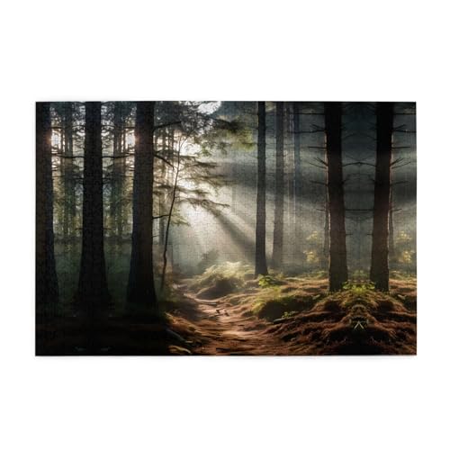 Puzzles1000 Teile WHJDPP Licht im Wald Muster Pädagogische Intellektuelle Holzpuzzles Lustige Puzzles Stressabbau Puzzles von WHJDPP