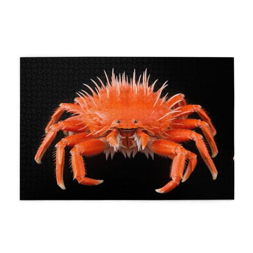 Puzzles1000 Teile WHJDPP Stachelige Krabbe Muster Pädagogische Intellektuelle Holzpuzzles Lustige Puzzles Stressabbau Puzzles Puzzles1000 Teile WHJDPP Stachelige Krabbe Muster Pädagogische Intellektuelle Holzpuzzles Lustige Puzzles Stressabbau Puzzles von WHJDPP