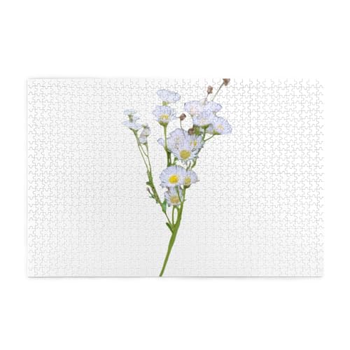 Jigsaw Puzzles1000 Teile Whjshop Spring Fei Peng Druck Qualität Holzpuzzle für Erwachsene und Kinder, lustige Puzzles, Stressabbau Puzzles Jigsaw Puzzles1000 Teile Whjshop Spring Fei Peng Druck Qualität Holzpuzzle für Erwachsene und Kinder, lustige Puzzles, Stressabbau Puzzles von WHJSHOP