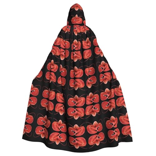WHJSHOP Kapuzenumhang mit Hummerbild, Halloween, Erwachsene, für Rollenspiele, Bühnenkostüme, Partys, pflegeleicht von WHJSHOP