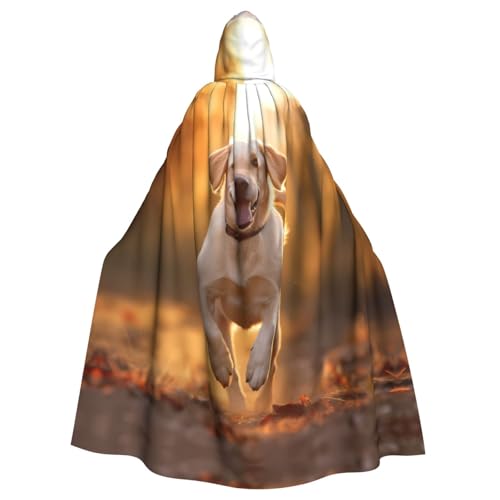 WHJSHOP Labrador Prints Kapuzenumhang für Erwachsene, für Halloween, Rollenspiele und Kostümpartys von WHJSHOP