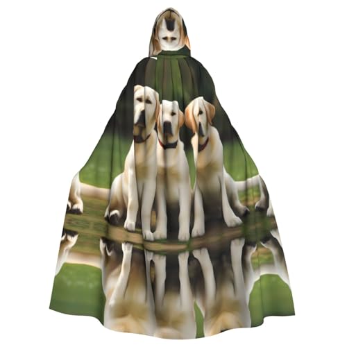 WHJSHOP Labrador Retriever Kapuzenumhang mit Hundemuster, für Halloween, Rollenspiele und Kostümpartys von WHJSHOP