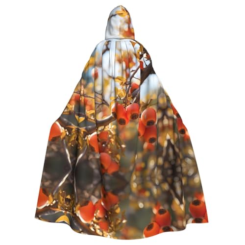 WHJSHOP Persimmon Umhang mit Kapuze für Erwachsene, für Halloween, Rollenspiel-Kostüme und Themenpartys WHJSHOP Persimmon Umhang mit Kapuze für Erwachsene, für Halloween, Rollenspiel-Kostüme und Themenpartys von WHJSHOP