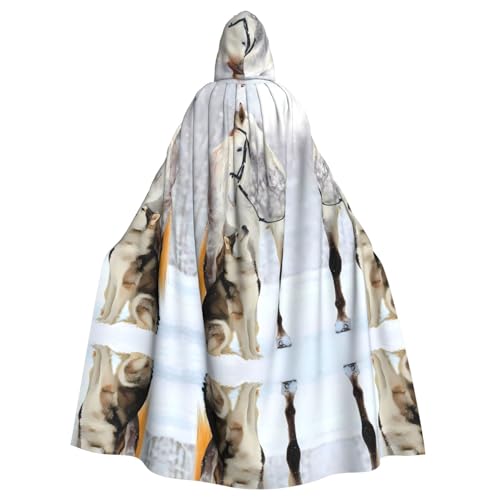 WHJSHOP Weißes Pferd, Hundebild, Halloween-Umhang mit Kapuze, Umhang für Rollenspiele, Bühnenkostüme, Partys, pflegeleicht WHJSHOP Weißes Pferd, Hundebild, Halloween-Umhang mit Kapuze, Umhang für Rollenspiele, Bühnenkostüme, Partys, pflegeleicht von WHJSHOP