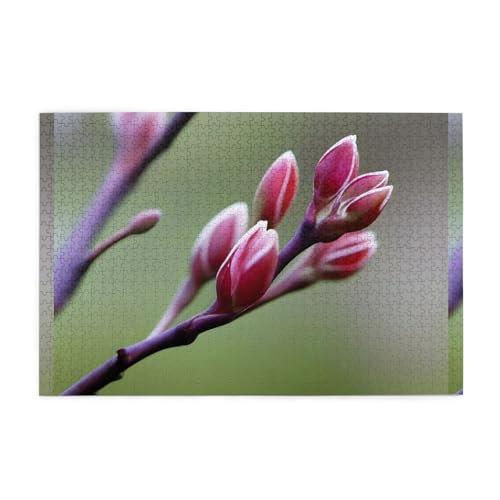 Whjshop 1000 Teile Puzzle mit Frühlingsknospen, Druckqualität, Holzpuzzle für Erwachsene und Kinder, lustige Puzzles, Stressabbau-Puzzles Whjshop 1000 Teile Puzzle mit Frühlingsknospen, Druckqualität, Holzpuzzle für Erwachsene und Kinder, lustige Puzzles, Stressabbau-Puzzles von WHJSHOP