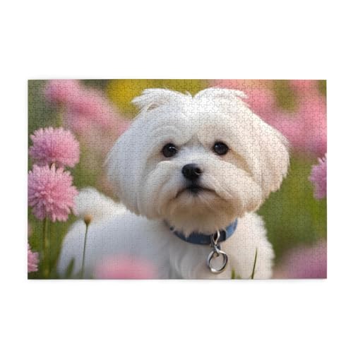 Whjshop Puzzles, 1000 Teile, schöne maltesische Hunde-Drucke, pädagogische intellektuelle Holzpuzzles, lustige Puzzles, Stressabbau-Puzzles Whjshop Puzzles, 1000 Teile, schöne maltesische Hunde-Drucke, pädagogische intellektuelle Holzpuzzles, lustige Puzzles, Stressabbau-Puzzles von WHJSHOP