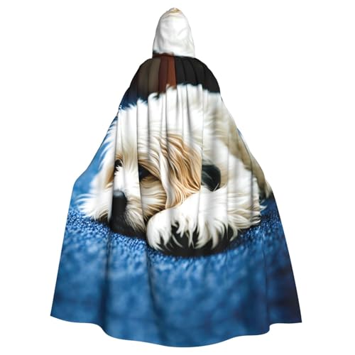 WHJSSF Kapuzenumhang mit Kapuze, für Rollenspiele, Bühnenkostüme, Partys, pflegeleicht WHJSSF Kapuzenumhang mit Kapuze, für Rollenspiele, Bühnenkostüme, Partys, pflegeleicht von WHJSSF