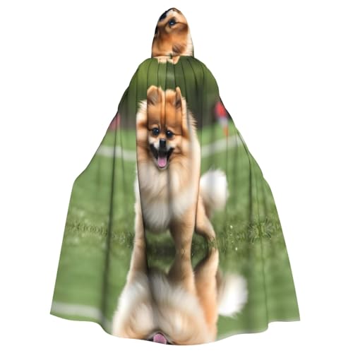 WHJYYXDE Happy kurzhaariger Zwergspitz-Druck, Halloween-Kapuzenumhang, geeignet für Cosplay-Kostüme, Weihnachtsfeiern WHJYYXDE Happy kurzhaariger Zwergspitz-Druck, Halloween-Kapuzenumhang, geeignet für Cosplay-Kostüme, Weihnachtsfeiern von WHJYYXDE