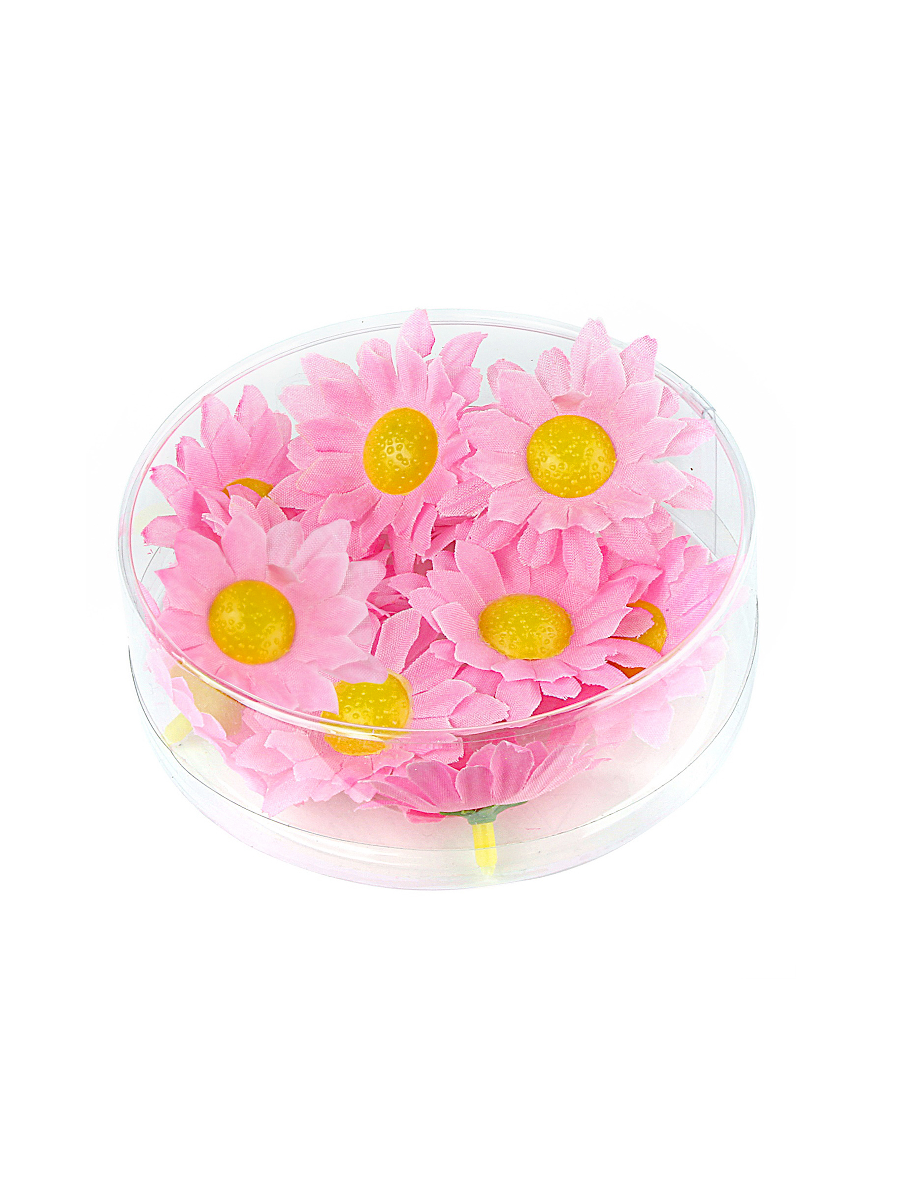 20 Margeriten Blütenköpfe Hellrosa Box 20 Margeriten Blütenköpfe Hellrosa Box von WIDMANN