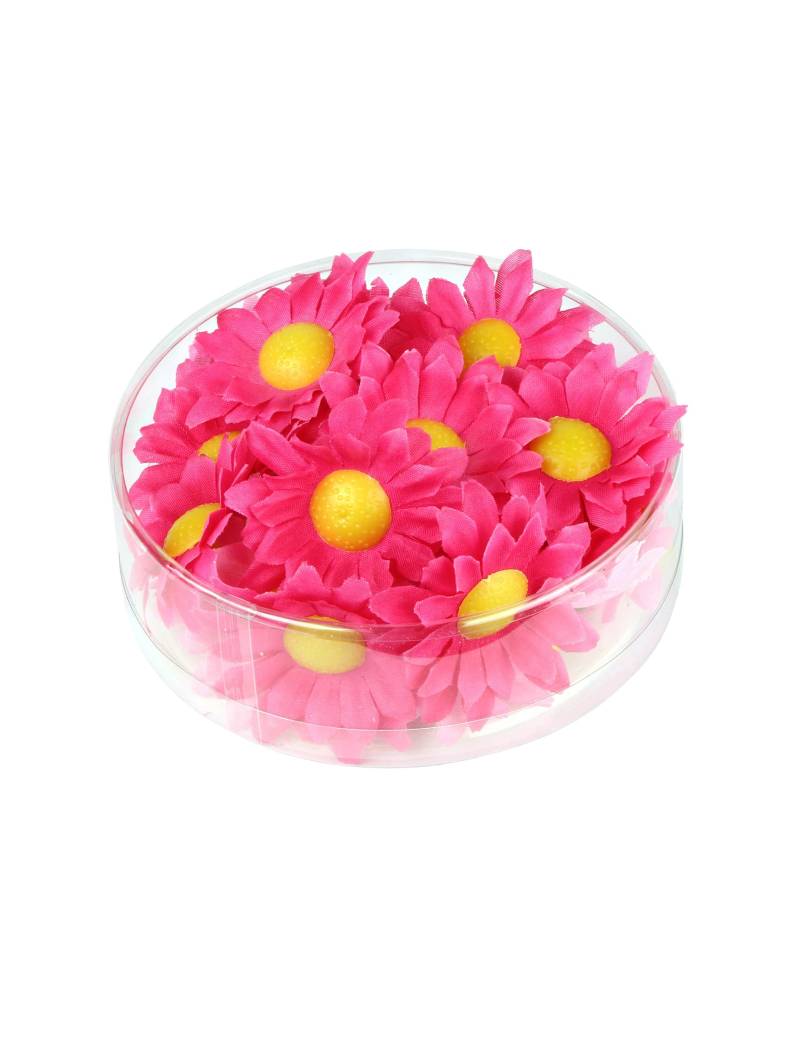 20 Margeriten Blütenköpfe Rosa Box von WIDMANN