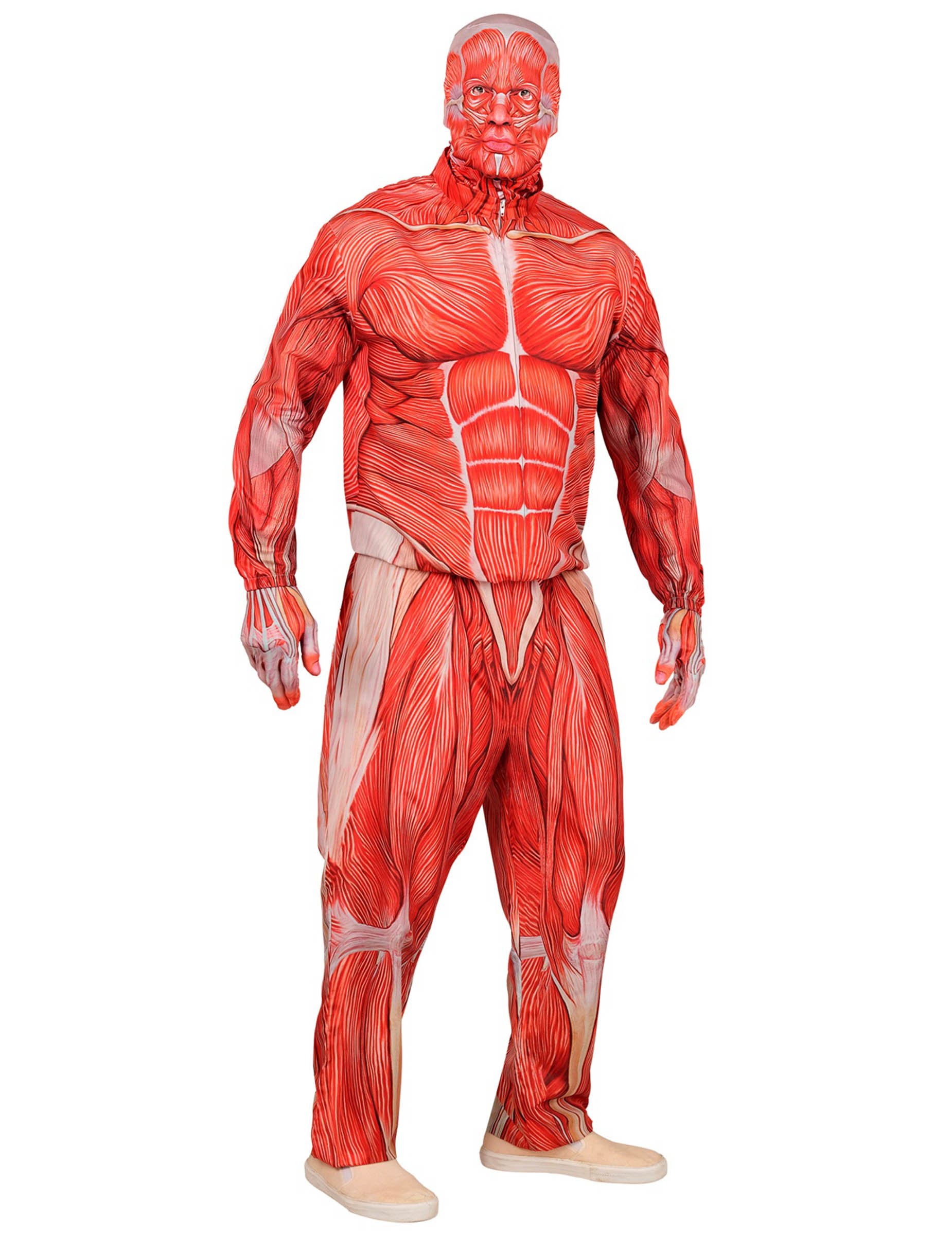 Ganzkörper Kostüm menschliche Anatomie für Erwachsene von WIDMANN