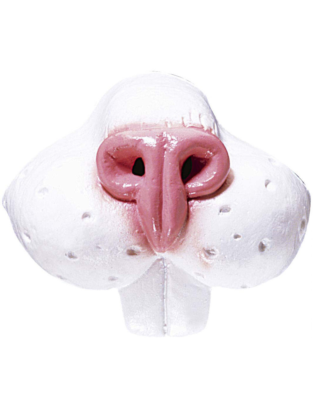 Hasenschnauze Hasenzähne Kostümzubehör weiss-rosa Hasenschnauze Hasenzähne Kostümzubehör weiss-rosa von WIDMANN