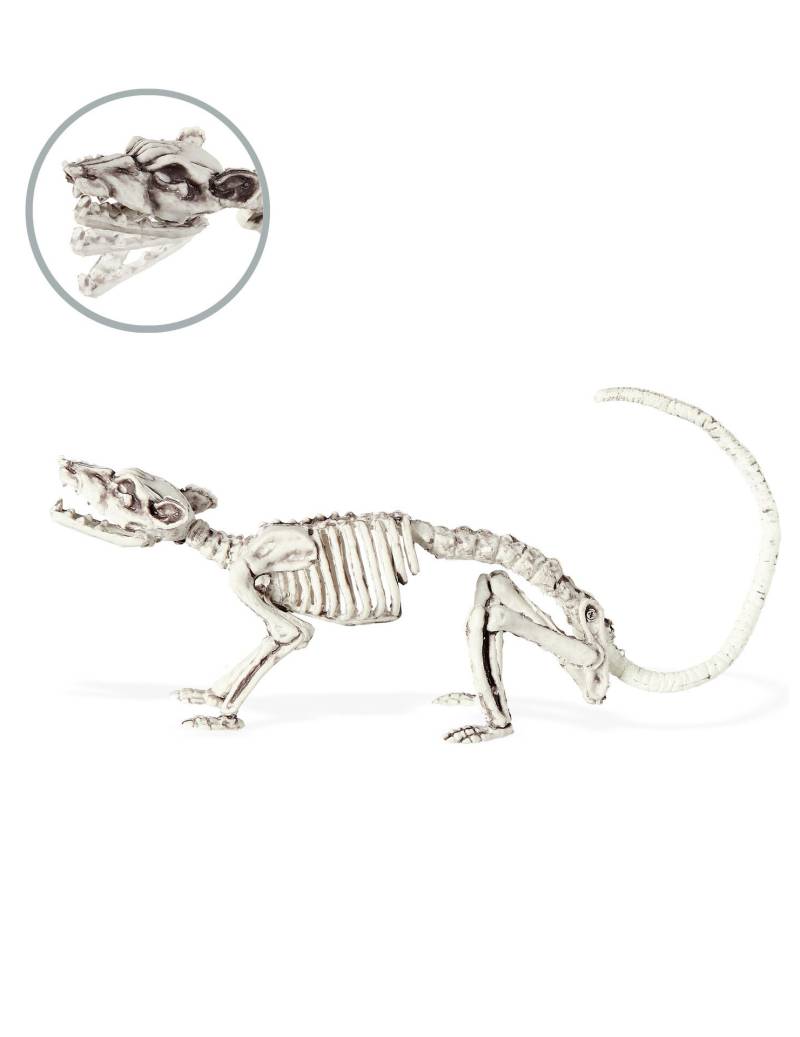 Skelett-Ratte Halloween-Deko weiss 16x23cm von WIDMANN