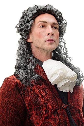 WIG ME UP - 68838-P103/68 Perücke Herren Damen Fasching Karneval Grau Schwarz-Blond-Mix Vokuhila Mullet Proll lockig oder Barock Edelmann von WIG ME UP