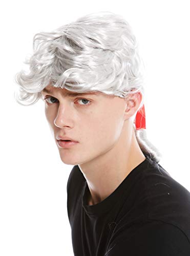 WIG ME UP - 7057-PC309 Perücke Herren Karneval Fasching Barock Poet Dichter Casanova Adliger Zopf grau Silbergrau von WIG ME UP