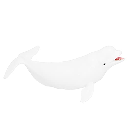WIHFHGZ Realistische Weißwal -Meer -Tierfiguren Model niedliche Meerestier -Bildungsfiguren WIHFHGZ Realistische Weißwal -Meer -Tierfiguren Model niedliche Meerestier -Bildungsfiguren von WIHFHGZ