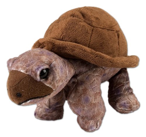 Wild Republic 10894 - Plüsch-Schildkröte Cuddlekins Mini, 20 cm Wild Republic 10894 - Plüsch-Schildkröte Cuddlekins Mini, 20 cm von WILD REPUBLIC