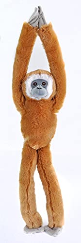 Wild Republic 25774 Gibbon mit weißen Händen Ecokins Hanging Monkey von WILD REPUBLIC