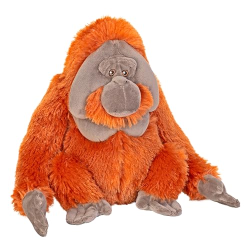 Wild Republic Cuddlekins Eco Orang-Utan Männchen, Plüschtier, 30 cm, umweltfreundlich Wild Republic Cuddlekins Eco Orang-Utan Männchen, Plüschtier, 30 cm, umweltfreundlich von WILD REPUBLIC