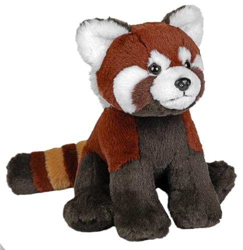 Wild Republic Earthkins Mini Roter Panda, Plüschtier, 20 cm, Plüschspielzeug, umweltfreundlich Wild Republic Earthkins Mini Roter Panda, Plüschtier, 20 cm, Plüschspielzeug, umweltfreundlich von WILD REPUBLIC