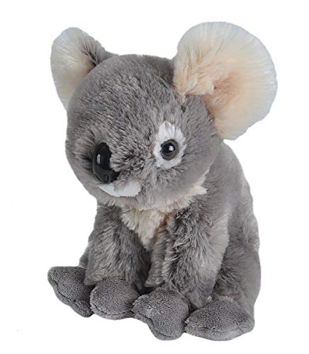 Wild Republic Koala-Plüsch, Stofftier, Plüschtier, Geschenke für Kinder, Cuddlekins 20 cm Wild Republic Koala-Plüsch, Stofftier, Plüschtier, Geschenke für Kinder, Cuddlekins 20 cm von WILD REPUBLIC