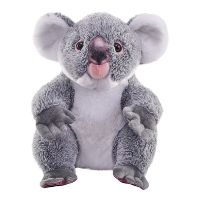Wild Republic Kuscheltier Artist Koala, 38 cm von WILD REPUBLIC