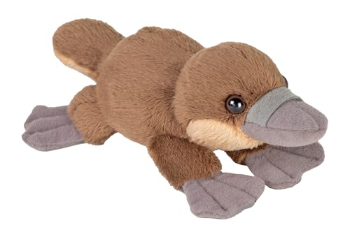 Wild Republic Pocketkins Eco Schnabeltier, Plüschtier, 13 cm, Plüschspielzeug, umweltfreundlich Wild Republic Pocketkins Eco Schnabeltier, Plüschtier, 13 cm, Plüschspielzeug, umweltfreundlich von WILD REPUBLIC