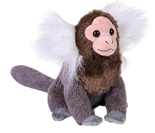 Wild Republic Rainforest Gewöhnlicher Totenkopfaffe, Plüschtier, 15 cm, Plüschspielzeug, Füllung aus recycelten Wasserflaschen Wild Republic Rainforest Gewöhnlicher Totenkopfaffe, Plüschtier, 15 cm, Plüschspielzeug, Füllung aus recycelten Wasserflaschen von WILD REPUBLIC