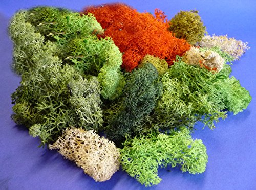 Modellbau ISLANDMOOS Sortiert Maxi-Packung 80g Modellbau ISLANDMOOS Sortiert Maxi-Packung 80g von WIM-Modellbau