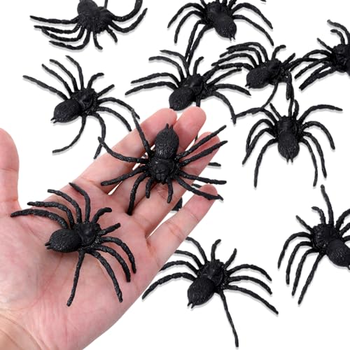 WLLHYF 10 Pieces Halloween Spinnen Deko Kunststoff 8 cm Große Realistische Gruselige Schwarz Spinnen Tisch Deko Streich Requisiten für Halloween Party Garten Dekorations WLLHYF 10 Pieces Halloween Spinnen Deko Kunststoff 8 cm Große Realistische Gruselige Schwarz Spinnen Tisch Deko Streich Requisiten für Halloween Party Garten Dekorations von WLLHYF