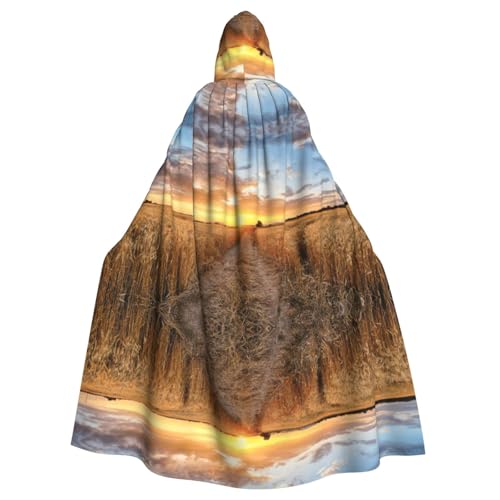 WMSYJHLA Goldenes Weizenfeld, Halloween, Unisex, Kapuzenumhang, Umhang, Robe, Weihnachten, Verkleidung für Erwachsene, Vampir-Hexe WMSYJHLA Goldenes Weizenfeld, Halloween, Unisex, Kapuzenumhang, Umhang, Robe, Weihnachten, Verkleidung für Erwachsene, Vampir-Hexe von WMSYJHLA