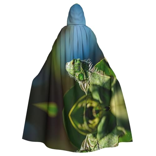 WMSYJHLA Grüne Eidechse Halloween Unisex Kapuzenumhang Umhang Robe Weihnachten Verkleidung Kostüme für Erwachsene Vampir Hexe WMSYJHLA Grüne Eidechse Halloween Unisex Kapuzenumhang Umhang Robe Weihnachten Verkleidung Kostüme für Erwachsene Vampir Hexe von WMSYJHLA