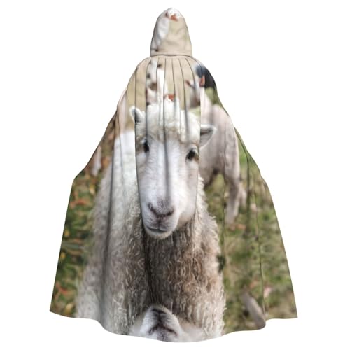 WMSYJHLA Süßes Schaf, Lamm, Halloween, Unisex, Kapuzenumhang, Umhang, Robe, Weihnachten, Verkleidung für Erwachsene, Vampir-Hexe WMSYJHLA Süßes Schaf, Lamm, Halloween, Unisex, Kapuzenumhang, Umhang, Robe, Weihnachten, Verkleidung für Erwachsene, Vampir-Hexe von WMSYJHLA