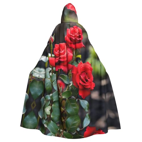 WNCLKF Rote Rose Blumen Druck Erwachsene Karneval Kapuzenumhang Halloween Umhang Cosplay Goth Umhang Fiesta Party Dekoration WNCLKF Rote Rose Blumen Druck Erwachsene Karneval Kapuzenumhang Halloween Umhang Cosplay Goth Umhang Fiesta Party Dekoration von WNCLKF