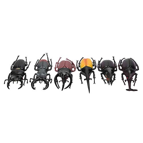 WNSC 2 Käfer-Insekten-Modell, gruselige PVC-Halloween-Requisiten, Heimat für Halloween-Tag(6 Large Black Beetles) von WNSC