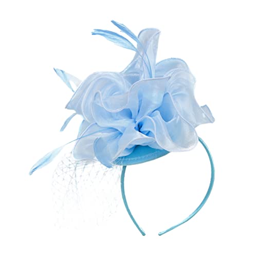 WOFASHPURET Feder Haarspange Hut haarclips haarklemmen Haarschmuck für Abendkleid federkopfschmuck Rosa Partyhüte Mini Party Hüte Tea -Party -Faszinator Tea-Party-Fascinator-Hut Kunstfedern von WOFASHPURET