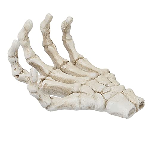 WOHPNLE Halloween Skeleton Hände, Harz Kunststoff Handskelett Modell hohe Härte Leichtgewicht Handknochen Ornamente zum Unterrichten von Werkzeughalterungen WOHPNLE Halloween Skeleton Hände, Harz Kunststoff Handskelett Modell hohe Härte Leichtgewicht Handknochen Ornamente zum Unterrichten von Werkzeughalterungen von WOHPNLE