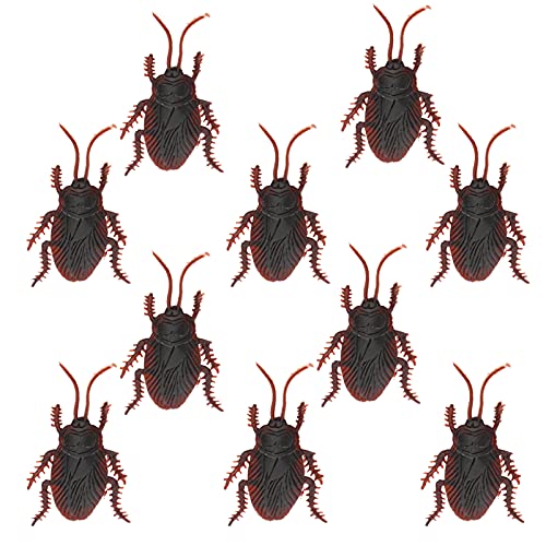 WONZHEC Kakerlaken Model Streichprops Simulation gefälschte Kakerlaken Schwarzes Spielzeug für Halloween Party Kinder 10pcs WONZHEC Kakerlaken Model Streichprops Simulation gefälschte Kakerlaken Schwarzes Spielzeug für Halloween Party Kinder 10pcs von WONZHEC