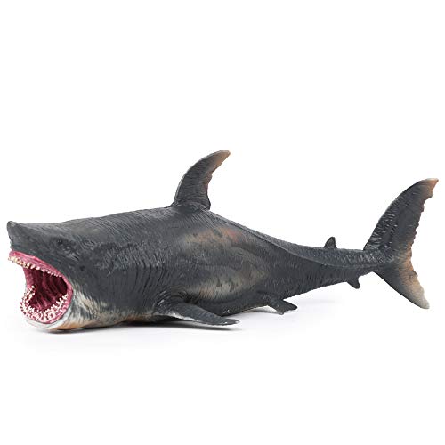 WONZHEC Sea Animal Model Hochsimuliert Exquisite Verarbeitung PVC Model Spielzeug für Kinder von WONZHEC