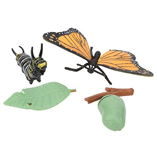 WONZHEC Wachstumsmodell des Spielzeugs Zyklus Schmetterling Modell Simulation Tier Kinder Lernspielzeug für das Lernen der Natur und der Interaktion zwischen Eltern und Kind von WONZHEC