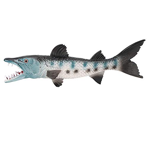 WONZHEC Wolffish Rare Model Spielzeug lebhafte Handwerkskunst Marine Sea Animal Ornament Kinder Bildungs ​​ von WONZHEC