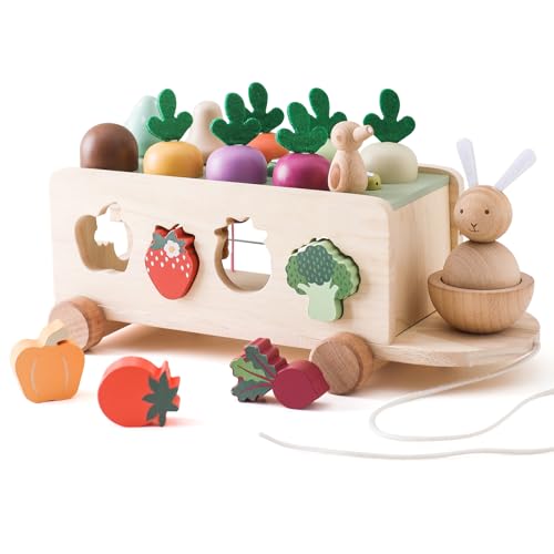 WOODEN TEETHER Montessori Holzspielzeug, Kinder Farm Fahrzeug Spielzeug mit dehnbarem Seil | Rübenernte Sortierpuzzle Spielzeug für Jungen Mädchen | Lustige und lehrreiche Geschenke für Kleinkinder WOODEN TEETHER Montessori Holzspielzeug, Kinder Farm Fahrzeug Spielzeug mit dehnbarem Seil | Rübenernte Sortierpuzzle Spielzeug für Jungen Mädchen | Lustige und lehrreiche Geschenke für Kleinkinder von WOODEN TEETHER