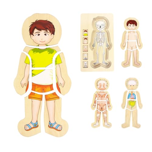 WOODENFUN Mein Körper Puzzle für Kinder 3-5, Montessori Anatomie Spiel Set, Schichtpuzzle für Vorschulkinder und Kinder ab 3 Jahren (Jungen) von WOODENFUN