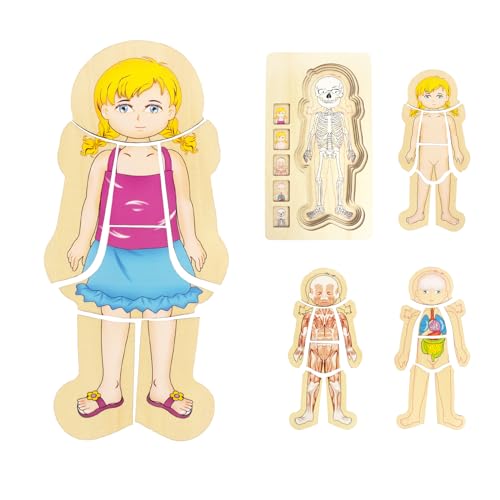 WOODENFUN Mein Körper Puzzle für Kinder 3-5, Montessori Anatomie Spiel Set, Schichtpuzzle für Vorschulkinder und Kinder ab 3 Jahren (Mädchen) von WOODENFUN