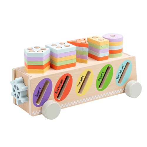 WOODENFUN Montessori Spielzeug Farbsortierung & Stapeln Passende Lernsortierspielzeug für Kleinkinder von 1-3 Jahren, Lernspielzeug als Geschenk für 2 jährige Jungen und Mädchen (Farbe 2) von WOODENFUN
