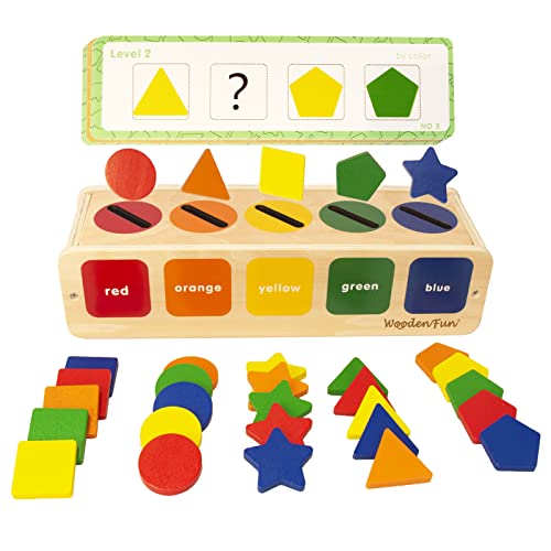 WOODENFUN Montessori Spielzeug Farbsortierung & Stapeln Passende Lernsortierspielzeug für Kleinkinder von 1-3 Jahren, Lernspielzeug als Geschenk für 2 jährige Jungen und Mädchen (Farbe 1) von WOODENFUN