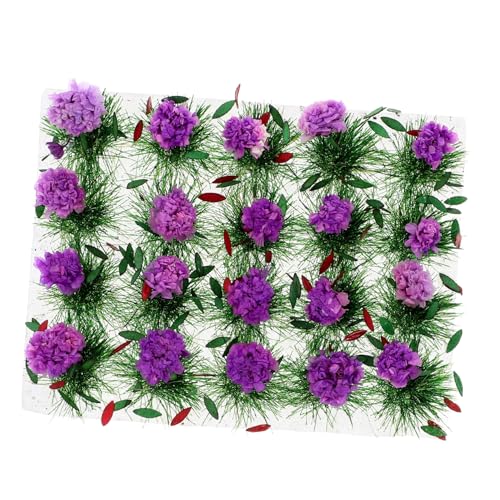 WOONEKY 1 Box Sandtischdekor, Künstliche Pflanzenornamente, Mikropflanzen, Sandtischblumen, Mini Hausornament, Mini Blumenschmuck, Grasbüschelmodell, Mikrolandschaftsdekor, WOONEKY 1 Box Sandtischdekor, Künstliche Pflanzenornamente, Mikropflanzen, Sandtischblumen, Mini Hausornament, Mini Blumenschmuck, Grasbüschelmodell, Mikrolandschaftsdekor, von WOONEKY